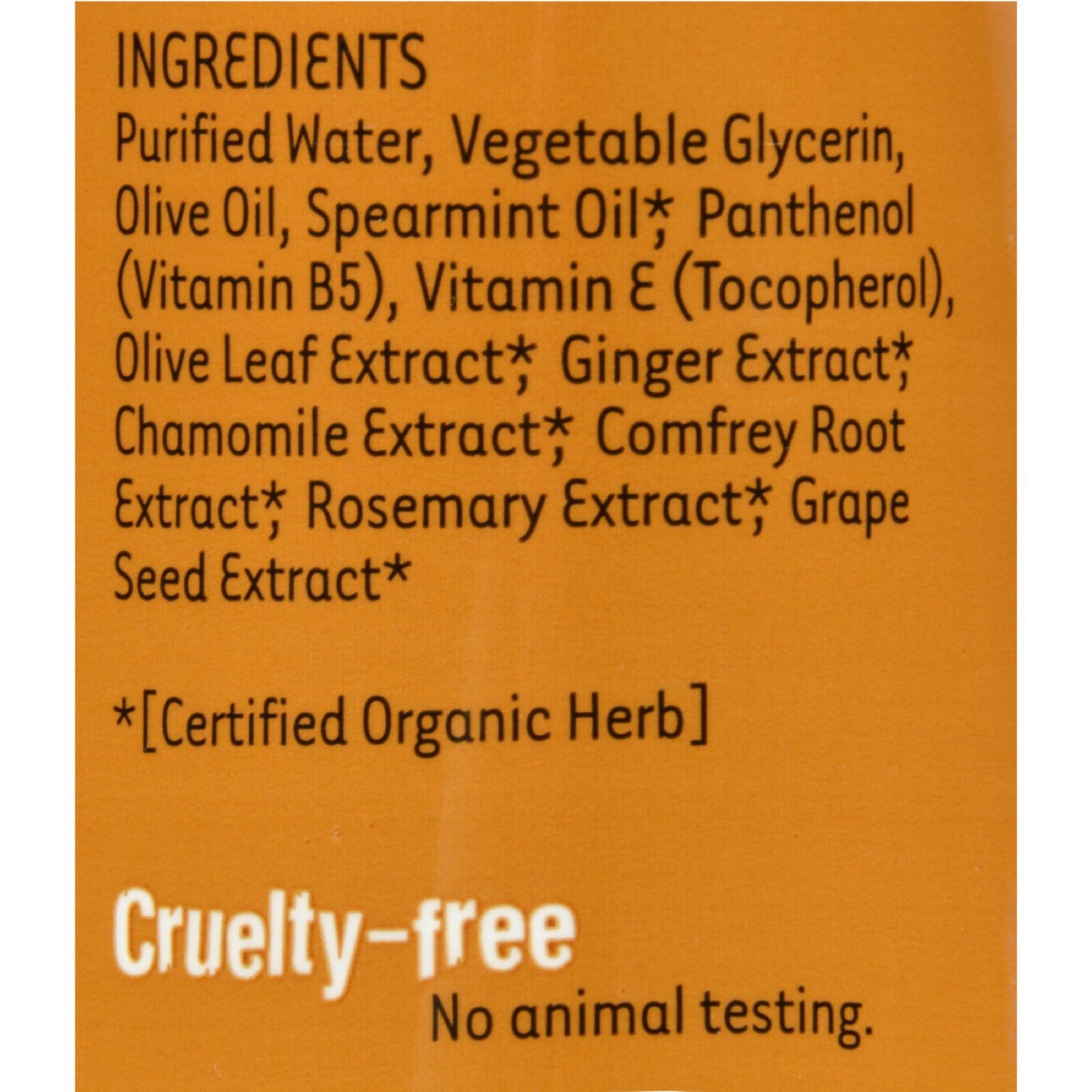 Organic Excellence Wild Mint Conditioner - 16 oz