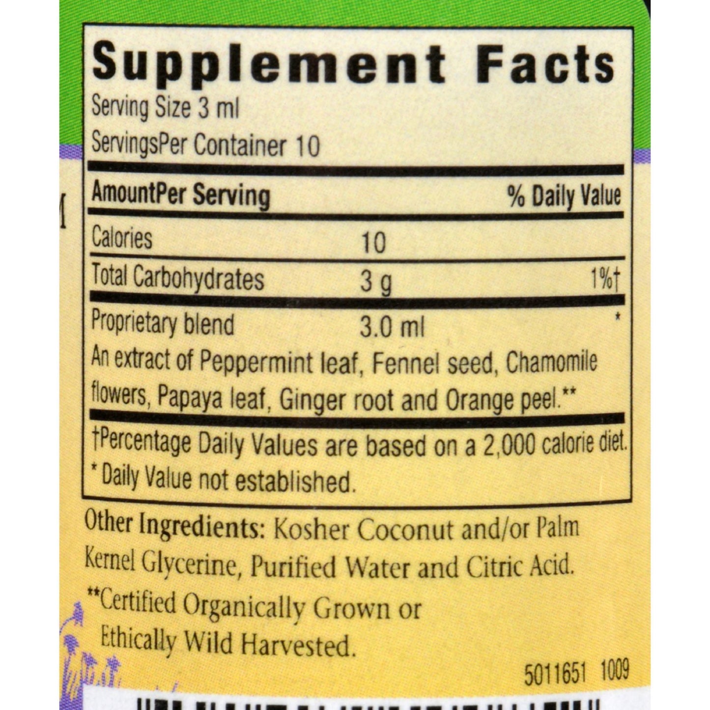 Herbs For Kids Minty Ginger - 1 fl oz