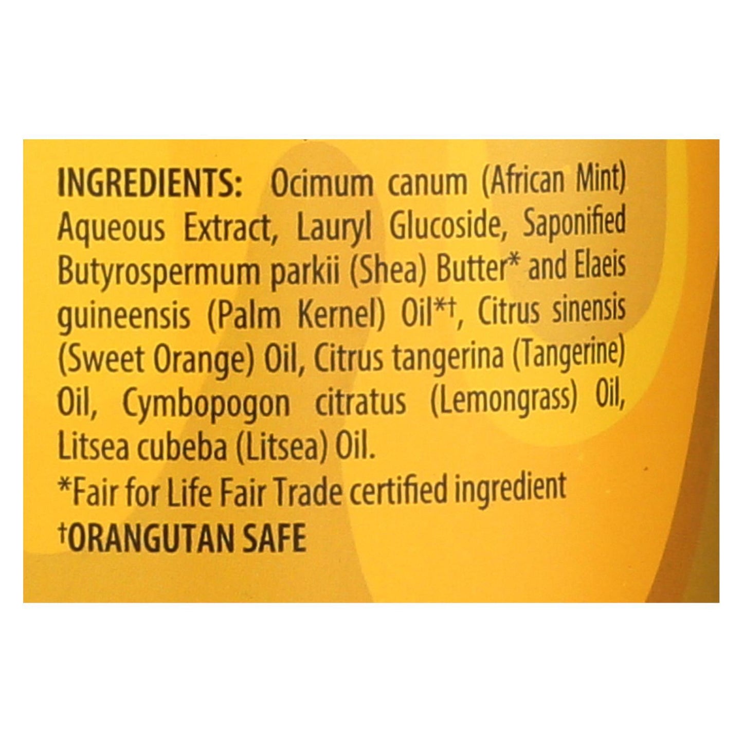 Alaffia - African Black Soap - Tangerine Citrus - 32 fl oz.