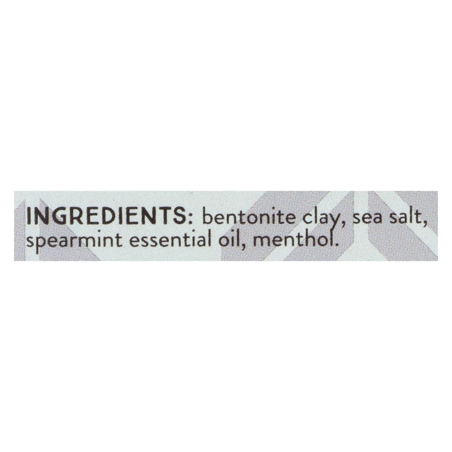 Redmond Earthpowder Toothpowder Spearmint  - 1 Each - 1.8 OZ